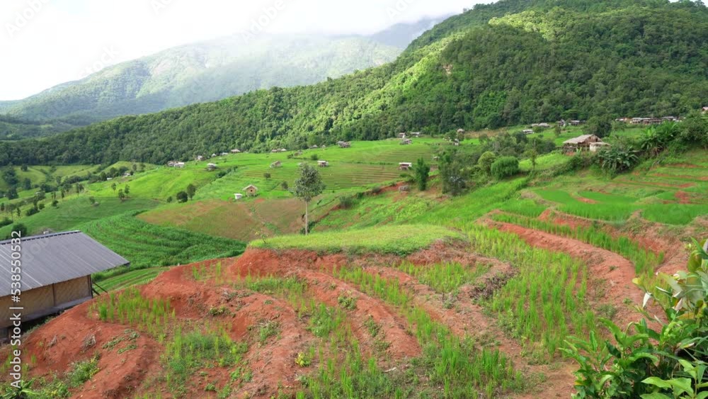 Mountain farming Ban Pa Bong Piang Rice Terrace, Chiang Mai, Thailand Mountain farming Ban Pa Bong Piang Rice Terrace, Chiang Mai, Thailand