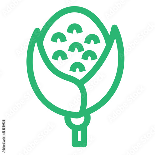 cob corn drink food veg vegetable icon