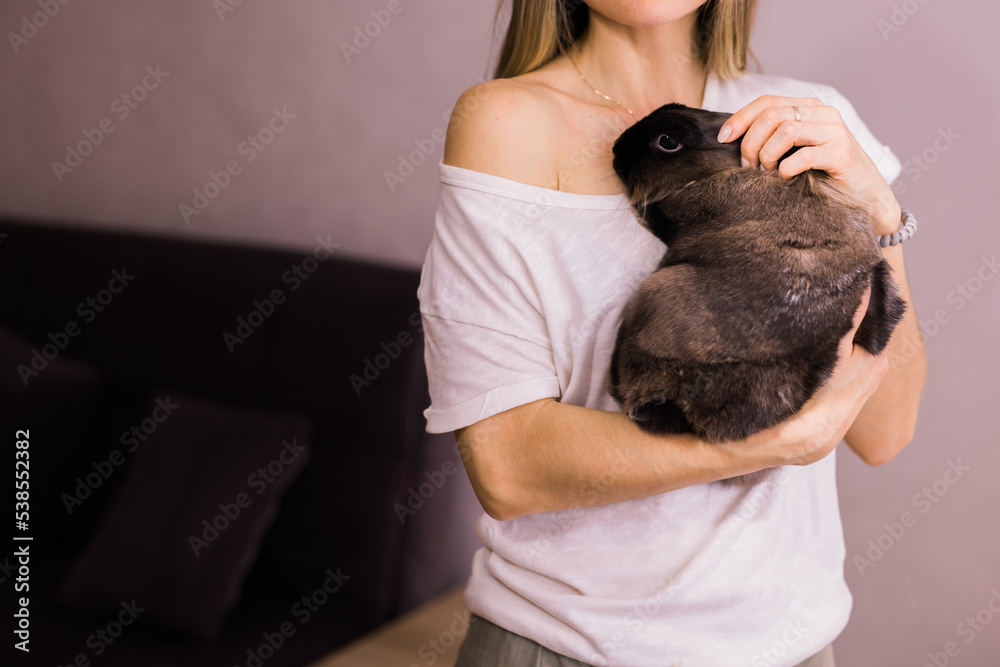 Close-up girl with adorable rabbit indoors, close up with copy space - Lovely pet and animal concept Close-up girl with adorable rabbit indoors, close up with copy space - Lovely pet and animal concept