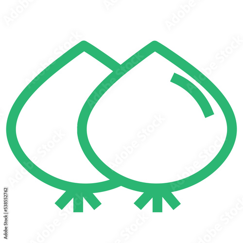 cooking food kitchen onion organic seasoning vegetable icon