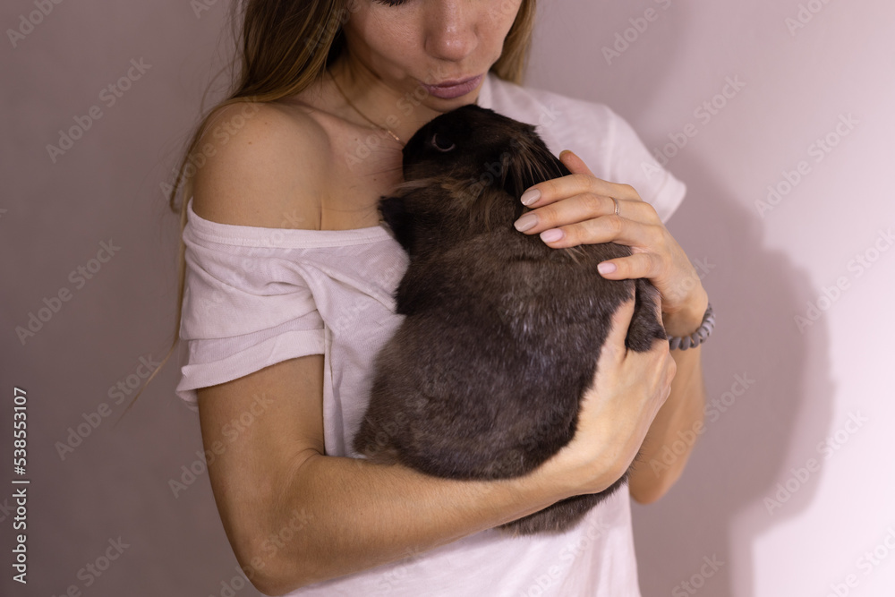 Close-up girl with adorable rabbit indoors, close up with copy space - Lovely pet and animal concept Close-up girl with adorable rabbit indoors, close up with copy space - Lovely pet and animal concept