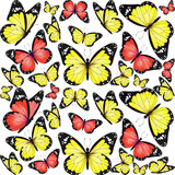 Yellow and red realistic flying monarch butterfly pattern on a white background. Vector illustration backdrop. Decorative texture print design. Colorful fairy wings template.