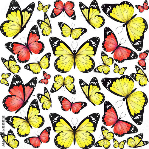 Yellow and red realistic flying monarch butterfly pattern on a white background. Vector illustration backdrop. Decorative texture print design. Colorful fairy wings template. ©  Tati. Dsgn