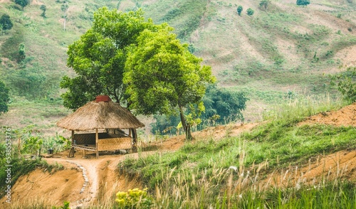 Beautiful green landscape of the Sentul countryside photo