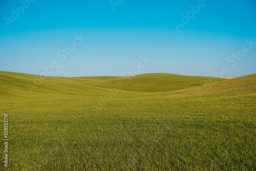 Green fields on the background of the blue sky. 