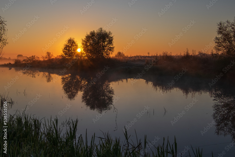 Fototapeta premium reflection in the water