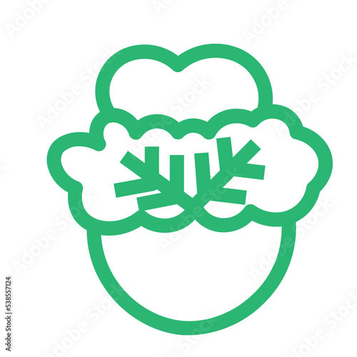 couliflower farm green plant vegan vegetable icon photo