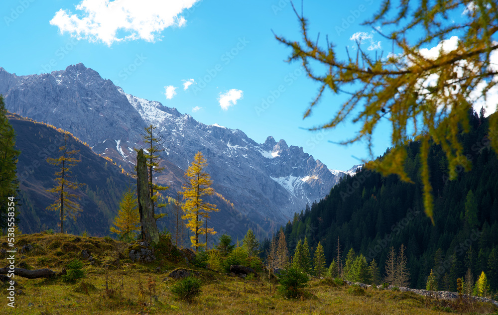 High mountain valley during the Indian summer with trees discolored yellow by autumn