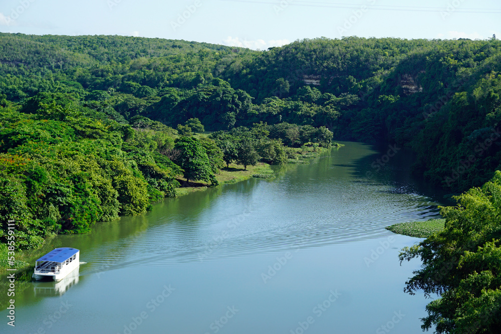 Fototapeta premium tropical landscape at chavon river