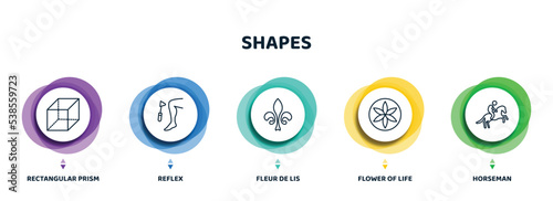 editable thin line icons with infographic template. infographic for shapes concept. included rectangular prism, reflex, fleur de lis, flower of life, horseman icons.