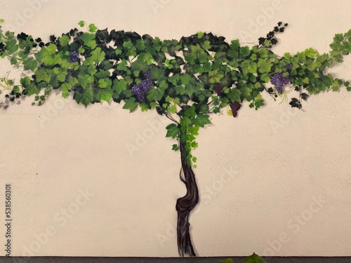 painting of a vine on the wall
