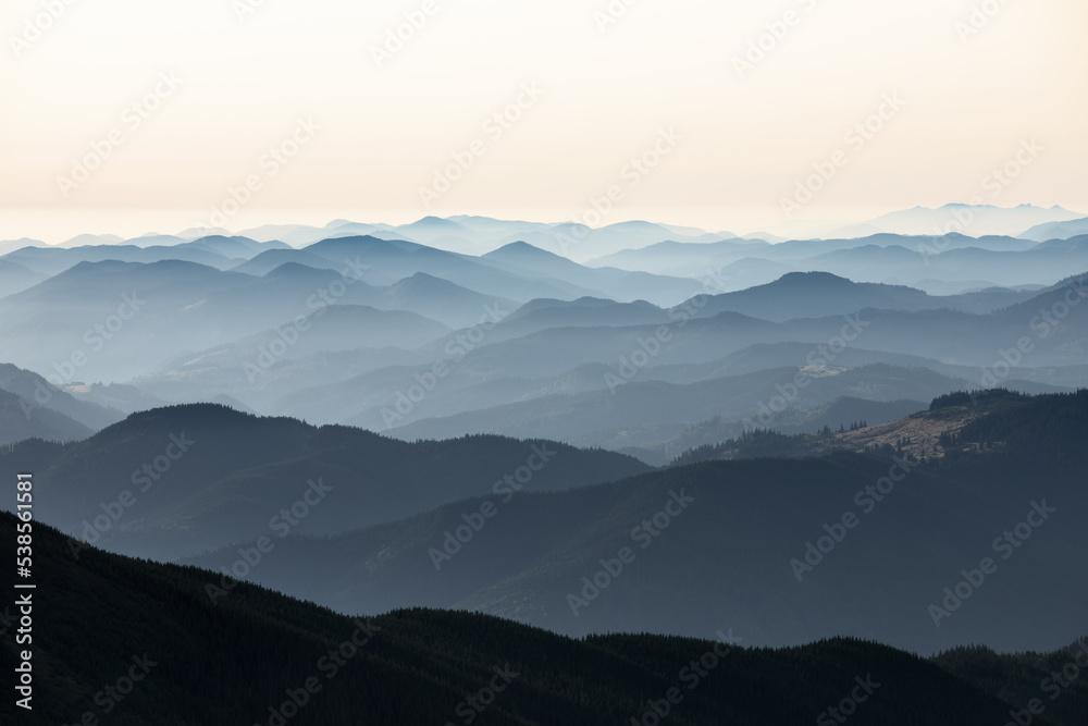 Landscape with high mountains. Fields and meadow are covered with morning fog and dew. Forest of the pine trees. The early morning mist. Natural scenery.