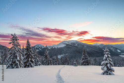 Winter. Sunrise. A panoramic view of the covered with snowy mountain peak. Natural landscape with beautiful sky. Location place Carpathian, Ukraine, Europe. © Vitalii_Mamchuk