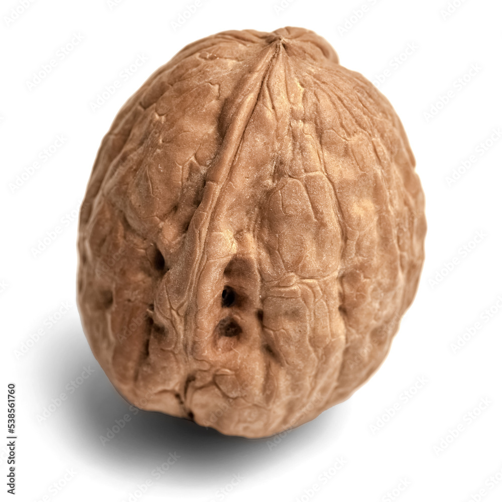 Obraz premium walnut isolate on white