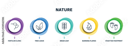 editable thin line icons with infographic template. infographic for nature concept. included fertilize clinic, tree leave, briar leaf, burning flames, four toe footprint icons.