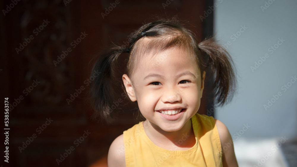 Positive charming 4 years old cute baby Asian girl, little preschooler child smiling and looking at camera. Positive charming 4 years old cute baby Asian girl, little preschooler child smiling and looking at camera.