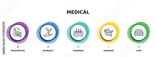 editable thin line icons with infographic template. infographic for medical concept. included prescription, antibiotic, epidermis, pancreas, x ray icons.