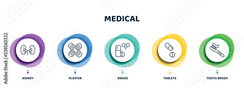 editable thin line icons with infographic template. infographic for medical concept. included kidney, plaster, drugs, tablets, tooth brush icons.