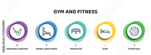 editable thin line icons with infographic template. infographic for gym and fitness concept. included abdominal exercises, barbell bench press, trampoline, sleep, fitness ball icons.