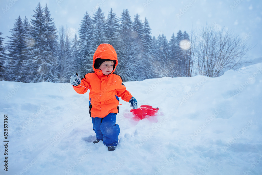 Fun at winter vacations: boy walk on uphill with the sled