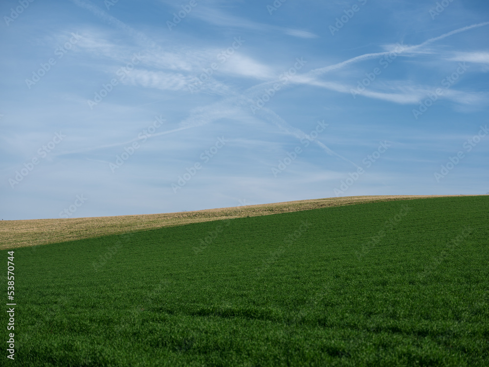 Fototapeta premium Feld und Himmel