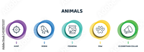 editable thin line icons with infographic template. infographic for animals concept. included hunt, robin, fishbowl, paw, elizabethan collar icons.