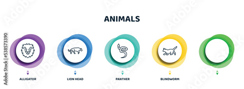 editable thin line icons with infographic template. infographic for animals concept. included alligator, lion head, panther, blindworm, kitten icons.
