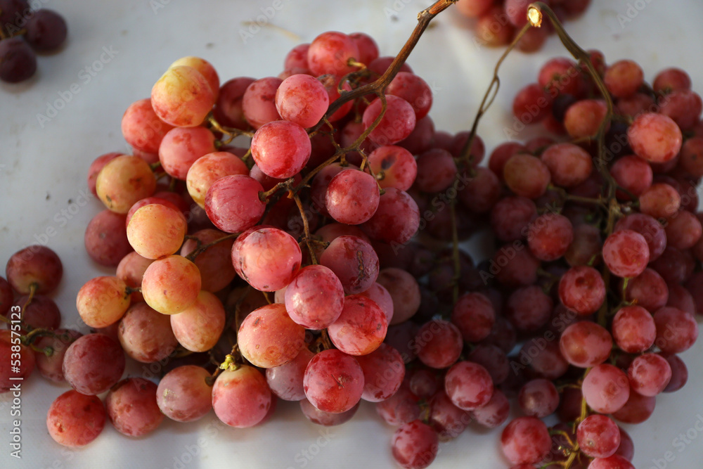 Red grape bunches are on grocery shelf.