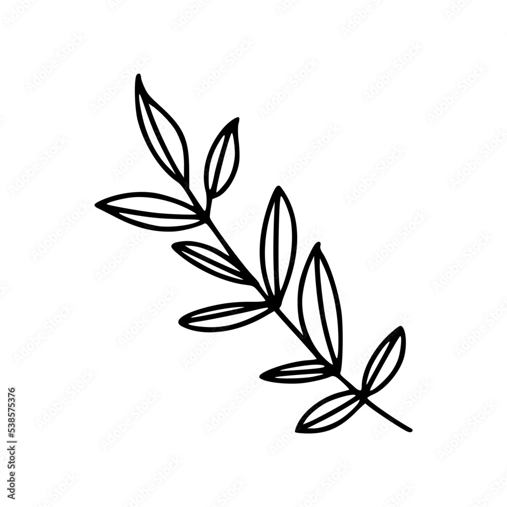 Flower Botanical Floral Detail Outline Illustration