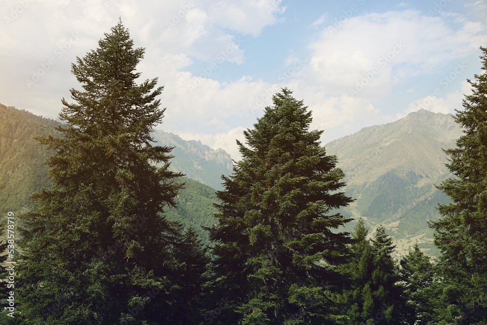 Fototapeta premium Beautiful trees and mountains under light blue cloudy sky