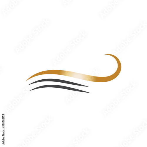 hair wave logo vector illustration design