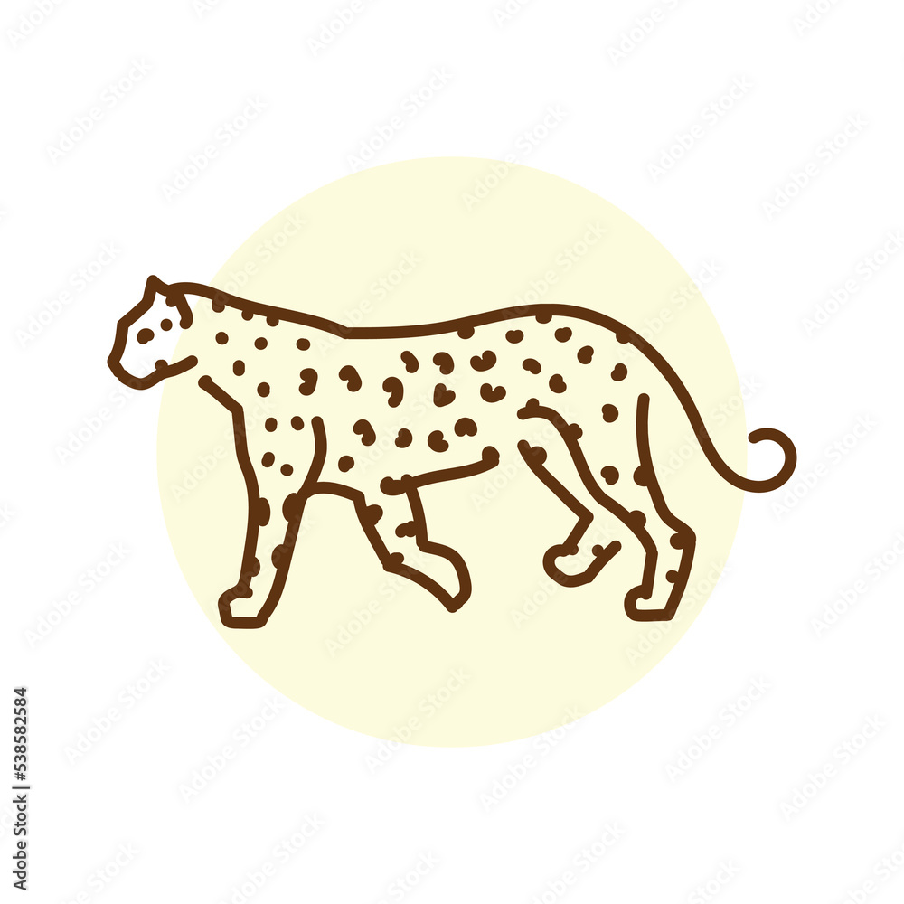 Fototapeta premium Leopard color line illustration. Animals of Africa.