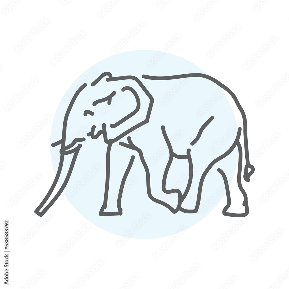 Obraz premium African elephant color line illustration. Animals of Australia