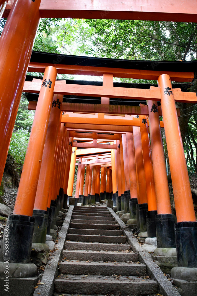 京都 伏見稲荷 千本鳥居