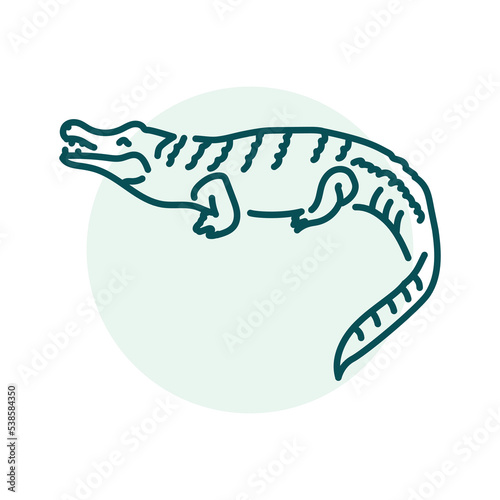 Crocodile color line illustration. Animals of Australia.