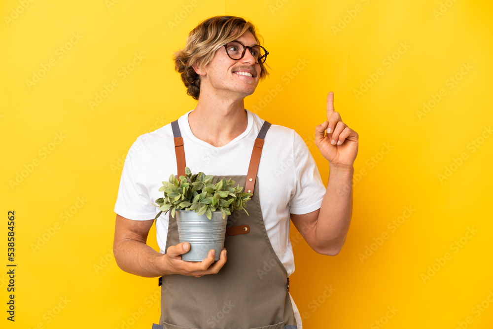 Gardener blonde man holding a plant isolated on yellow background pointing up a great idea Gardener blonde man holding a plant isolated on yellow background pointing up a great idea