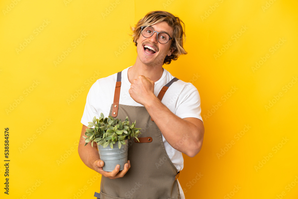 Gardener blonde man holding a plant isolated on yellow background celebrating a victory Gardener blonde man holding a plant isolated on yellow background celebrating a victory