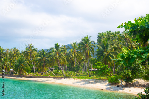 Tropical landscape. Sea coast with palm trees along the shore. Travel and tourism