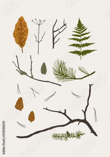 Hand drawn boho vector print with autumn leaves and tree branches, moss, bumps. Rustic forest elements in flat style. Wild forest poster