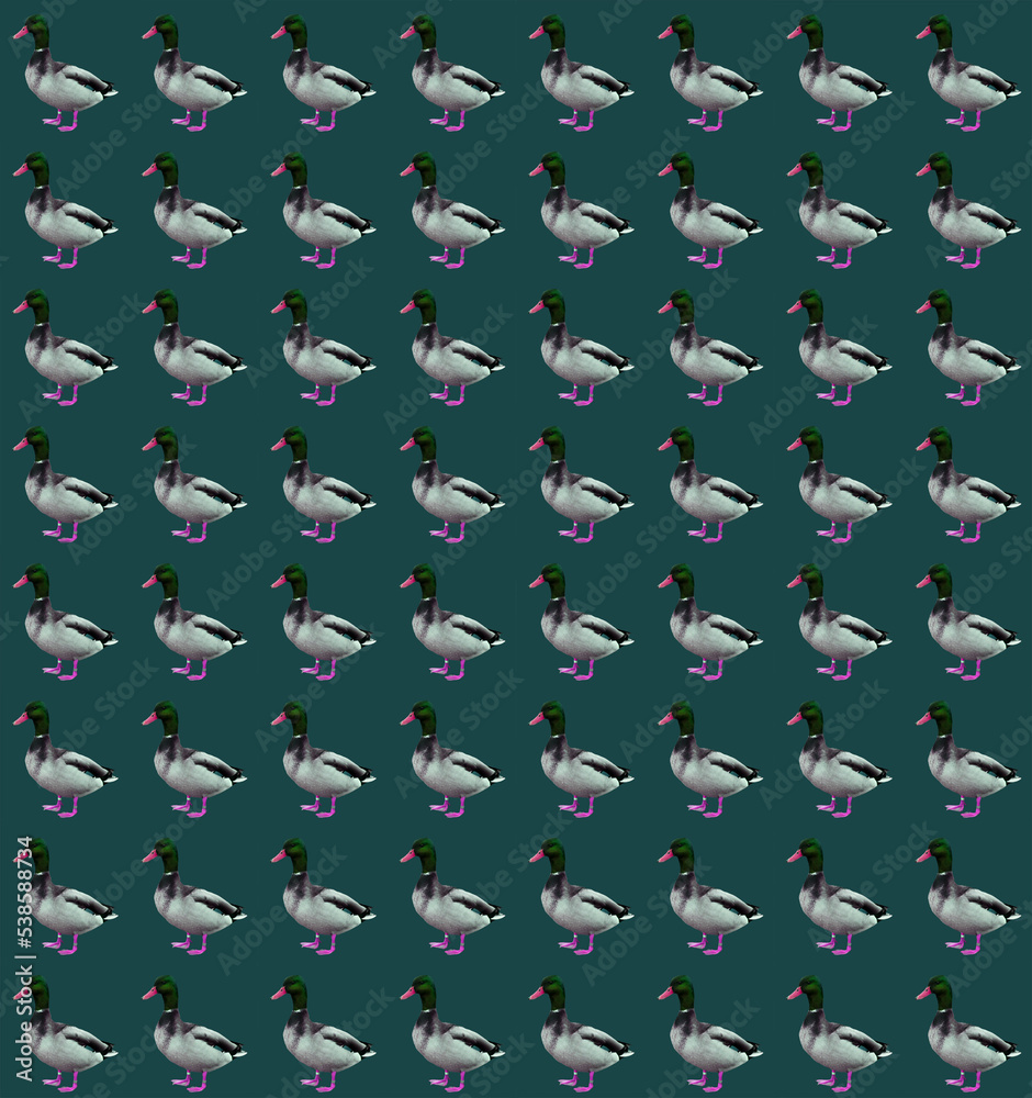 Obraz premium pattern with ducks