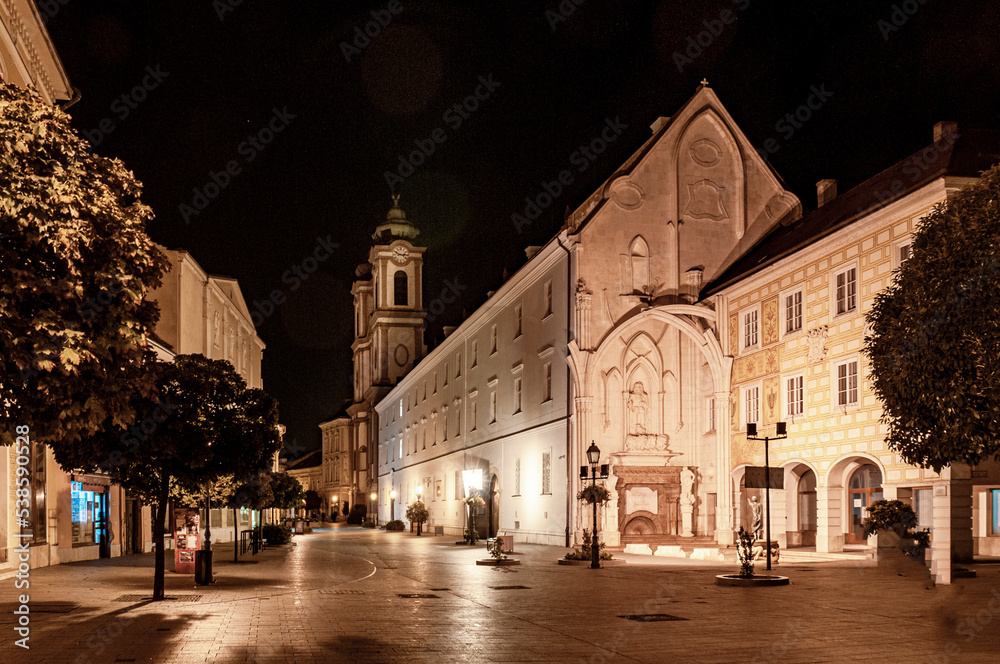 Night view of the city of Szekesfehervar in Hungary