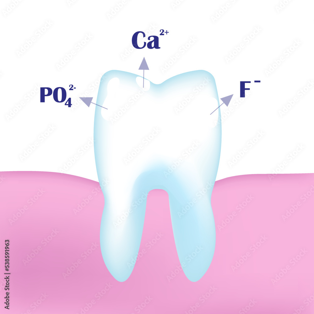 3D tooth with calcium, phosphorus and phosphate ions. The scheme of