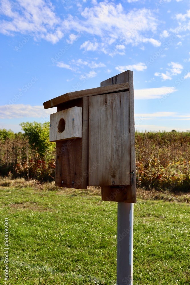 A close view of the old box wood birdhouse in the field. A close view of the old box wood birdhouse in the field.