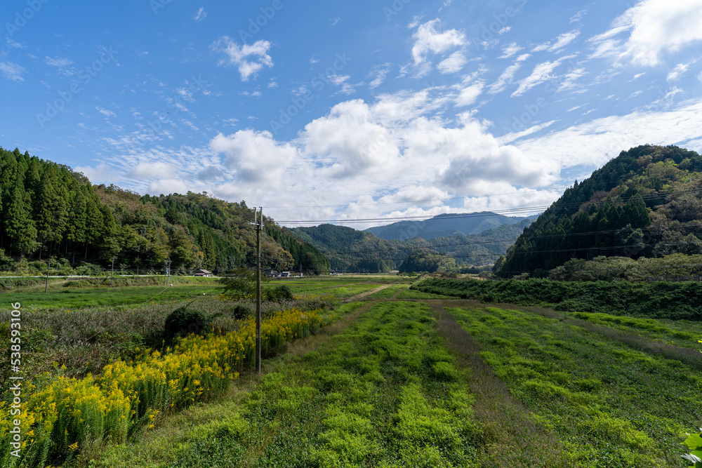 京都の田舎道
