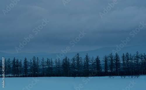 冬の美瑛の丘 北海道美瑛町の観光イメージ