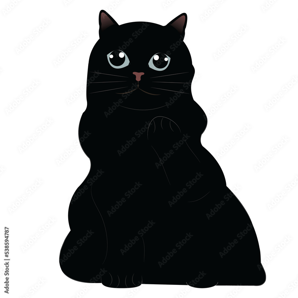 Obraz premium Black cat Collection