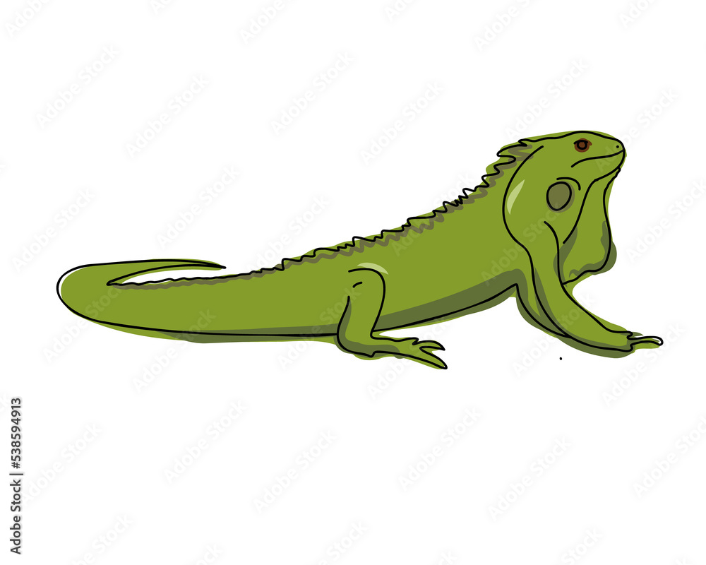 Fototapeta premium Iguana