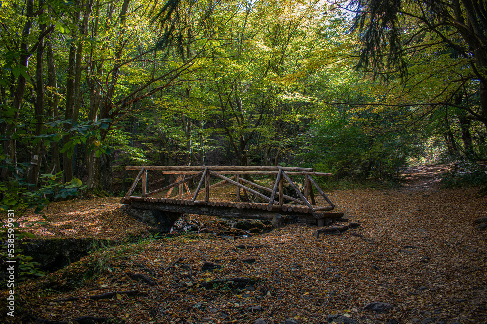 Wooden bridge above the stream in the forest