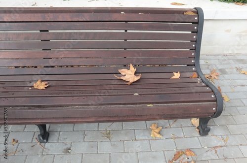 A wooden bench in the park, and yellow autumn leaves.