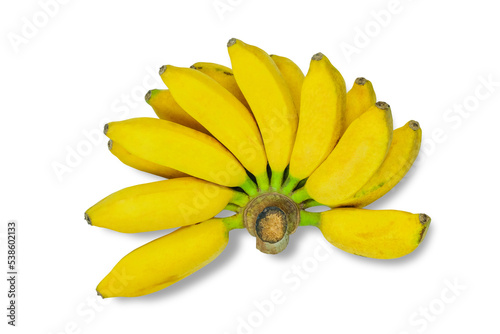 Bunch of bananas isolated on white background.